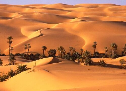 Liwa Desert Safari - Full Day