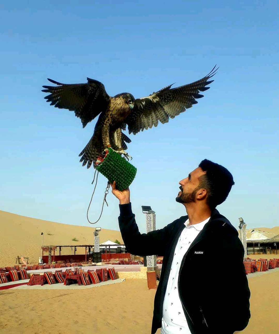 VIP Abu Dhabi Evening Desert Safari